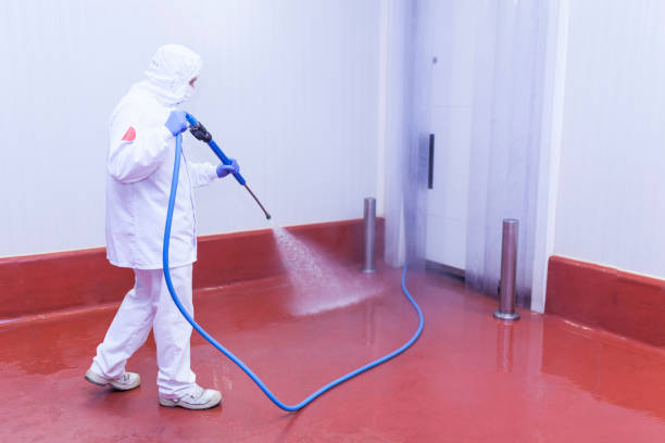 Best Concrete Surface Cleaning in Halesite, NY